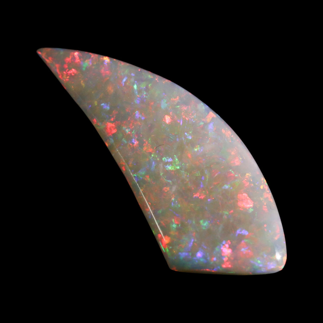 Coober Pedy Freeform Opal - Fossil Shell