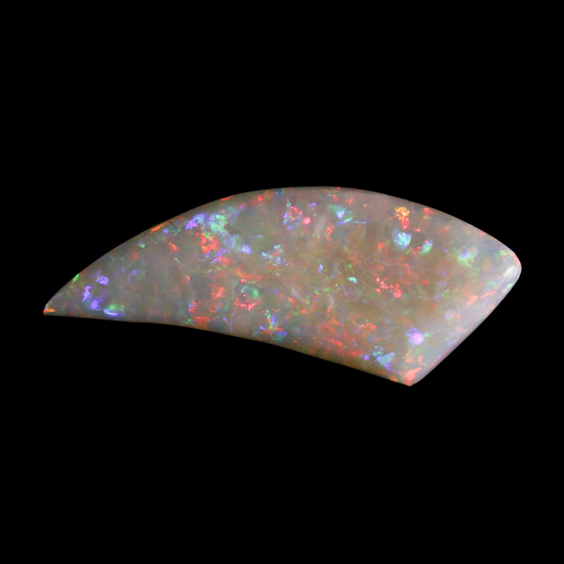 Coober Pedy Freeform Opal - Fossil Shell