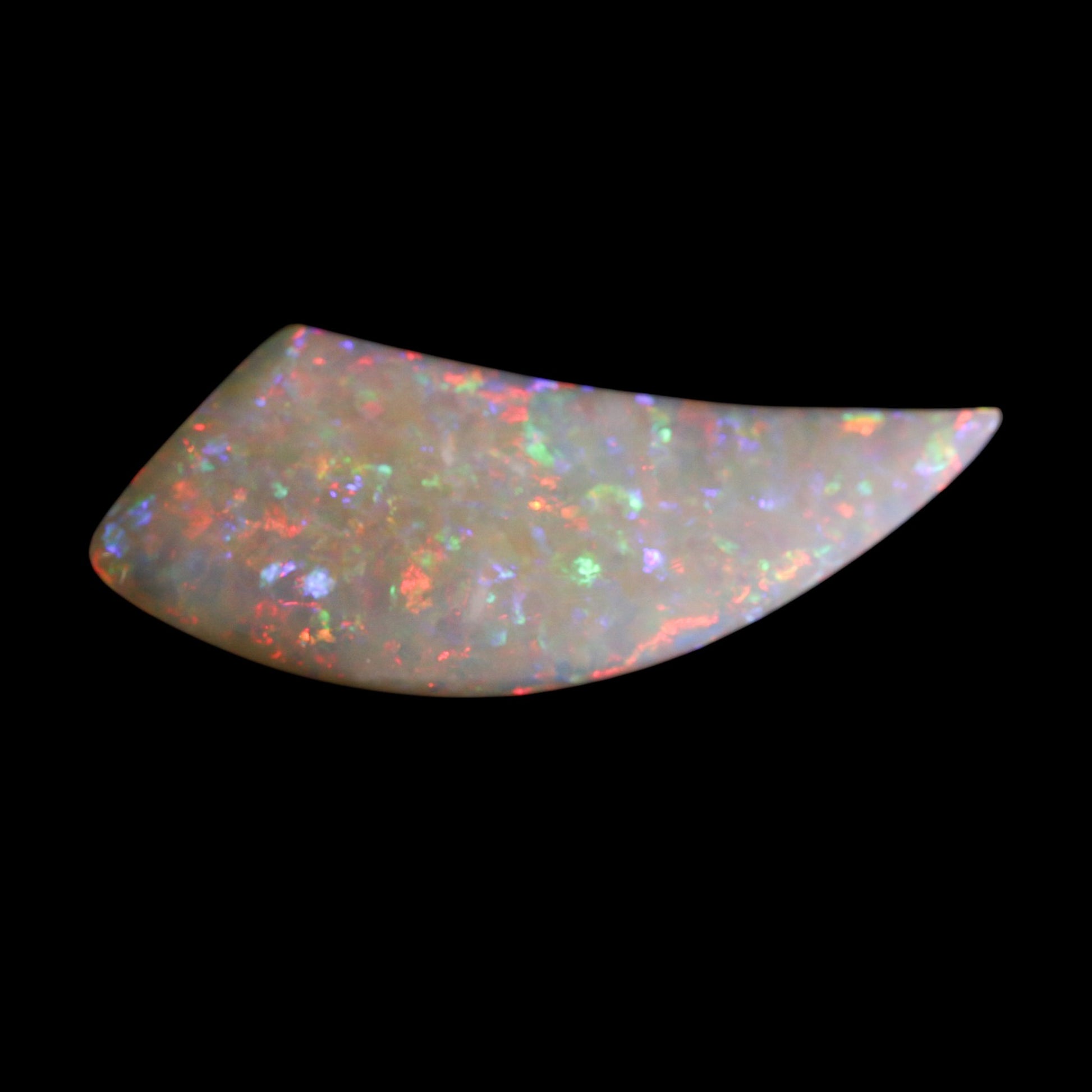 Coober Pedy Freeform Opal - Fossil Shell