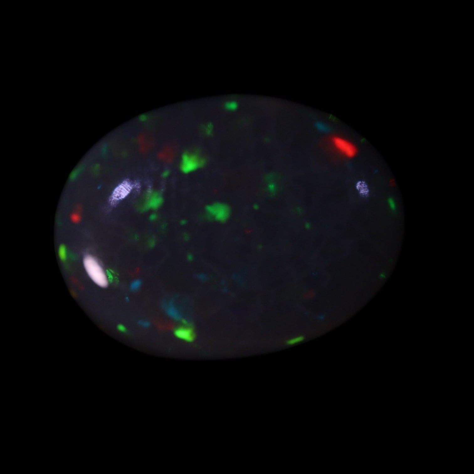 Lightning Ridge Nobby Opal – Investment Grade