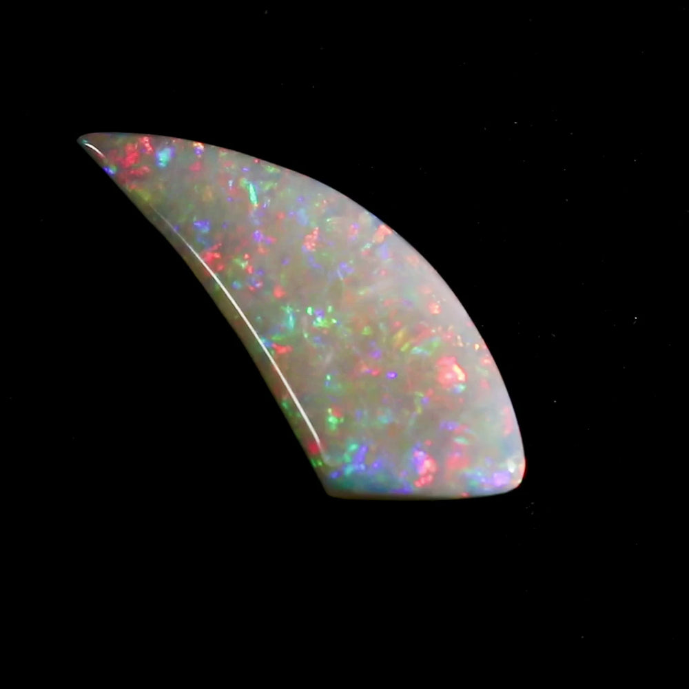 Coober Pedy Freeform Opal - Fossil Shell